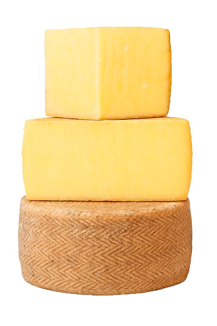 Manchego 6 Months Cured